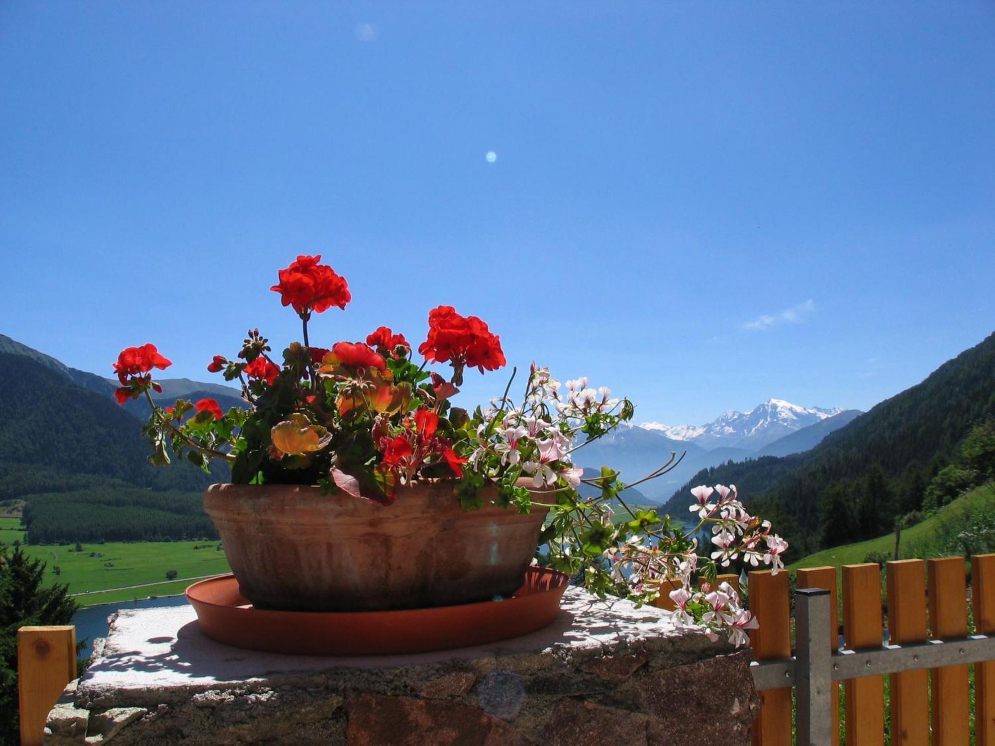 Appartement Sunnleitn St. Valentin auf der Haid Exteriör bild