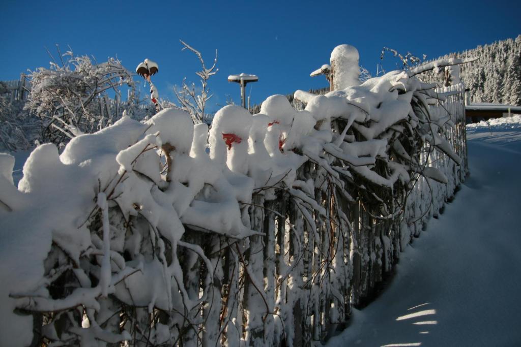 Appartement Sunnleitn St. Valentin auf der Haid Exteriör bild